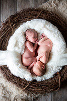 Marchese Twins - Newborn